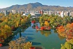 Sapporo: Book a Local