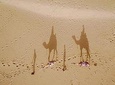 Overnight stay in the Desert