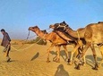 Private Family Tour in Jaisalmer
