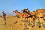 Private Family Tour in Jaisalmer