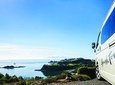 The Essence of Waiheke Wine Tour