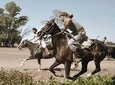 Estancia Gaucho 'Santa Susana' Day Tour from Buenos Aires