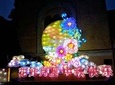 Night Tour to Harbin Lanterns World in Winter