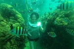 Sea Walker and Jet Ski Experience