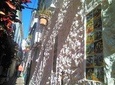 Marbella private walking tour