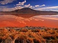 2-Days Uyuni Salt Flats including Laguna Colorada