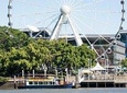 Brisbane River Sightseeing Mid Afternoon 2.30pm Cruise