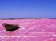 Lac Rose and Noflaye Tortoise Park
