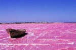 Lac Rose and Noflaye Tortoise Park