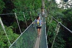 Kinabalu Park & Poring Hot Springs Tour From Kota Kinabalu