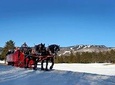 Tremblant Sleighride