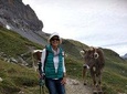 Grindelwald Guided Day Hike