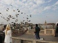 Kite Flying And Culture Walk In Old Delhi With Lunch Or Dinner