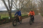 Stellenbosch E-Bike Wine Farm Tours