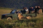 2 Day Safari Experience