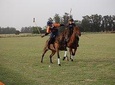 HORSE & POLO Trip in Balcarce Argentina