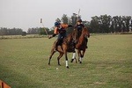 HORSE & POLO Trip in Balcarce Argentina
