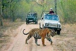 PRIVATE 6-DAYS TOUR DELHI, JAIPUR, RANTHAMBORE SAFARI AND AGRA WITH TAJMAHAL