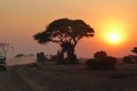 4-Day Safari: Lake Manyara, Serengeti & Ngorongoro 