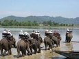 Dalat - Central Highland - Nha Trang