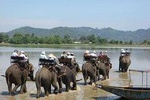 Dalat - Central Highland - Nha Trang