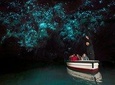 Hobbiton & Waitomo Small Group Tour - EX Auckland