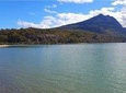 Ushuaia Combo: Tierra del Fuego National Park & Round Trip Transfers to airport