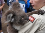 Visit Kangaroo Island Wildlife Park, South Australia