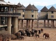 Private Wildlife 5 Day Safari: Tsavo East, Tsavo West & Amboseli 