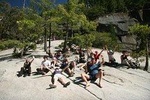 Small-Group Yosemite Tour from San Francisco