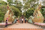 Half-Day Private Tour Wat Phra That Doi Suthep and Temples of Chiang Mai