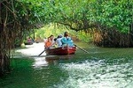 Day Trip to Pichavaram Mangrove Forest and Thillai Nataraja Temple in Chidambaram from Pondicherry with lunch