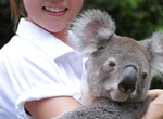 Hold Koala Bears in Australia