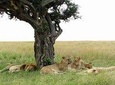 6 Days Kenya Classic Safari