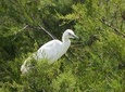 Karnala Bird Sanctuary Excursion From Mumbai