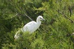 Karnala Bird Sanctuary Excursion From Mumbai