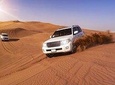 Dubai Red Dunes safari with sandsurf, Camels, Falcon & BBQ Dinner