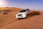 Dubai Red Dunes safari with sandsurf, Camels, Falcon & BBQ Dinner