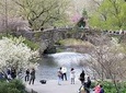 Central Park Secrets And Highlights