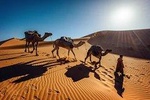 Private 5 Days journey to the Golden desert