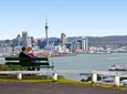 Auckland City Small-Group Morning Discovery Tour