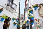 Official Tour of Córdoba 4 hours