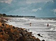 Kerala Sea Food Trail: An Excursion To Cherai Beach With Seafood Lunch