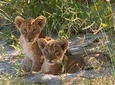 4 Days Victoria Falls Zimbabwe with Chobe National Park Safari Botswana and Livingstone Zambia