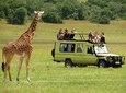 Private 12 Days Best Of Kenya Big Five Wildlife Safari
