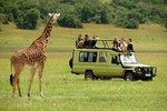 Private 12 Days Best Of Kenya Big Five Wildlife Safari