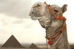 Giza Pyramids & Sphinx and Egyptian museum Full day Private Tour