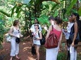 Spice Tour And Home-Cooked Goan Lunch At An Organic Plantation