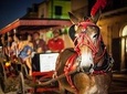 French Quarter & Marigny Neighborhood Carriage Ride 