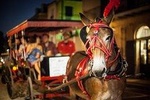 French Quarter & Marigny Neighborhood Carriage Ride 